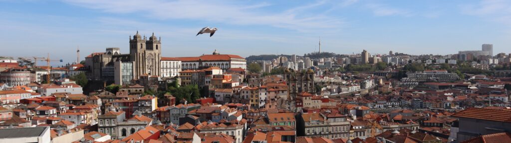 Porto skyline with bird